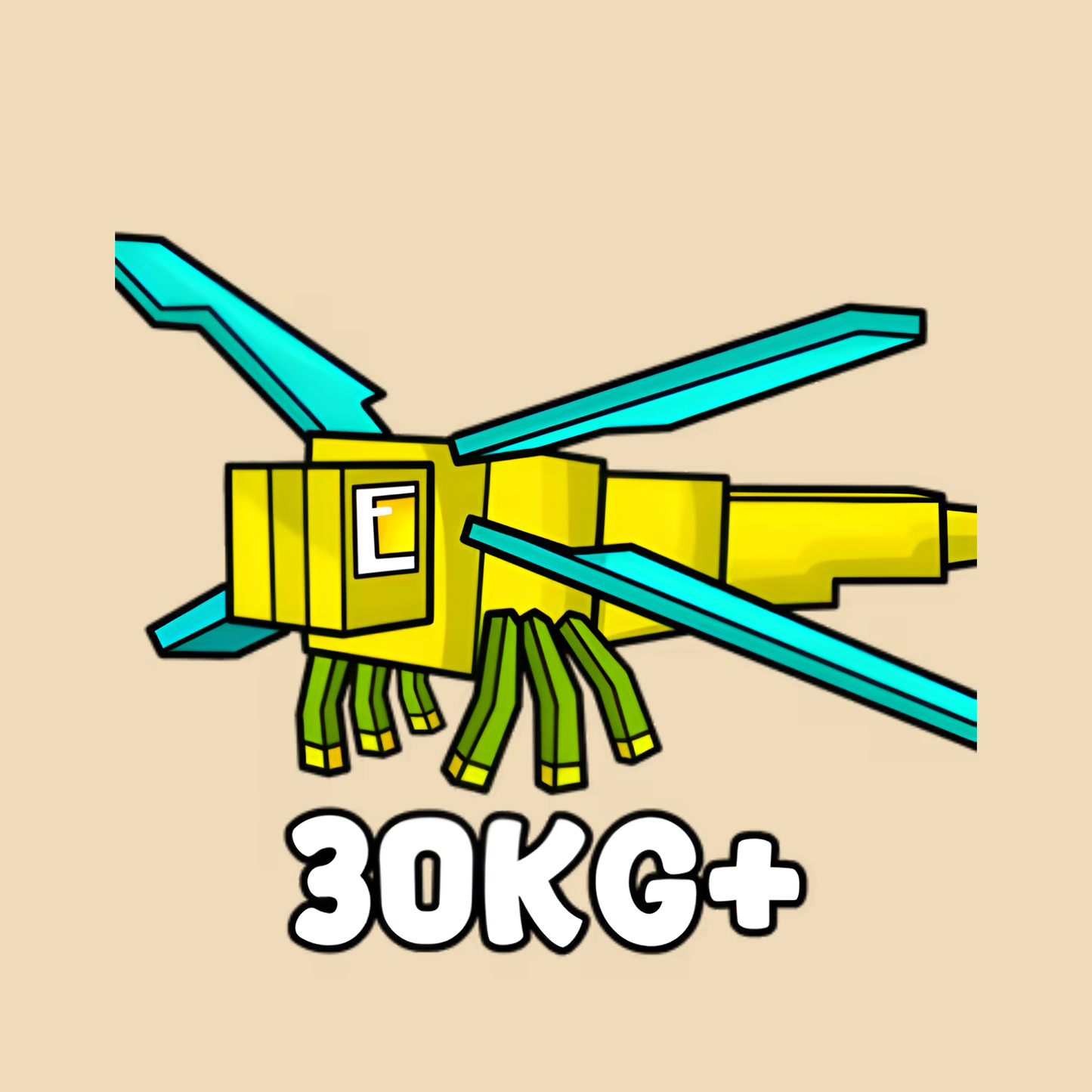 HUGE Dragonfly (30kg+)