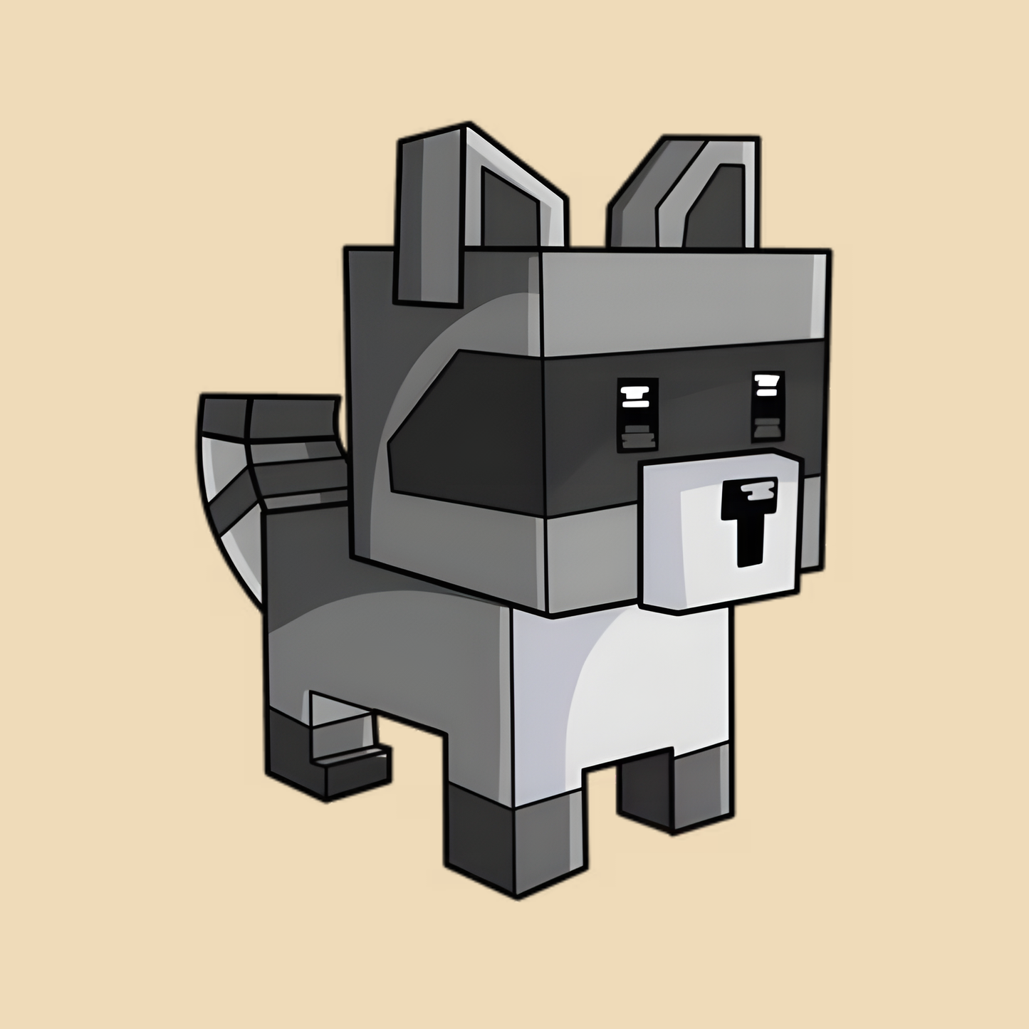 Raccoon